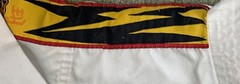 Taekwondo White Tiger Suit Womens Karate Shirt Size 00 Pants Size 2