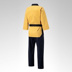 Adidas New logo WT Poomsae High Dan Master Uniform/ADITPGM01