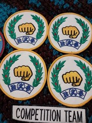 Martial Arts patch collection, 14 patches in the set