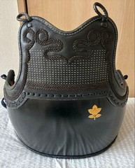 Japanese Kendo Do Chest Guard Armor Bamboo Body Tenka Special Coating