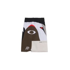 A&P x OAKLEY SS RASHGUARD & SHORTS JIU JITSU BJJ NO GI GRAPLING – ALBINO & PRETO