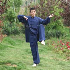 Tai chi Uniform Summer Cotton 6 Colors Wushu Kung fu Clothing Kids Adults