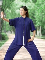 Short Sleeve Kung Fu Shirts Wing Chun Sport Martial Arts Taichi Uniform Ice Silk