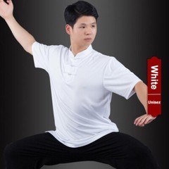 Silk Chinese Kung Fu Tai Chi Uniform T-Shirt Pants Outfit Martial Art Wushu Suit
