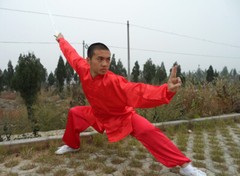Kung Fu Tai Chi Uniform Martial Arts Suit Outfit Wushu Changquan Suit Clothes