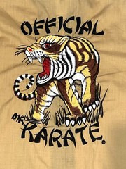 VTG 70’s Mr. Karate Embroidered Tiger Training Gi Uniform Kimono & Pants Costume
