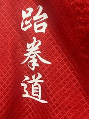 Master Park’s Black Belt America Taekwondo Uniform Red Size 3 USA Korea Martial