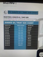 New PFG Light Weight Karate GI Black Uniform White Belt Halloween Costume Size 3