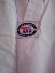 MASTER KIM’S KUMSUNG Martial Arts Taekwondo Karate Uniform Top Bottoms & Belt