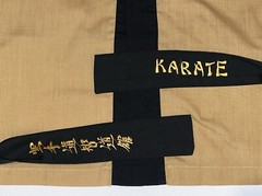 VTG 70’s Mr. Karate Embroidered Tiger Training Gi Uniform Kimono & Pants Costume