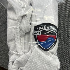 Nike Korea Taekwondo Dobok Size 9 / 190cm White Kimono Embroidered Belted Swoosh