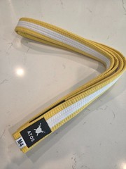 Jiu Jitsu Yellow Belt Youth Kids BJJ Rank Belt White Stripe – M4- Brand New