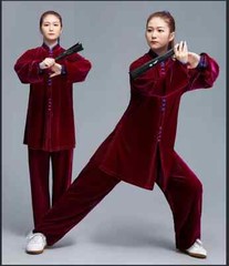 Winter Tai Chi Clothes Thick Kung Fu Dress Wushu Martial Art Uniform Long Sleeve