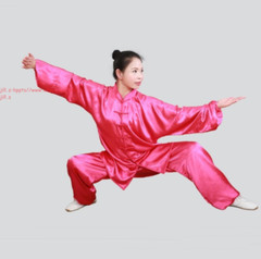 Korean Silk Chinese Women Men Kung Fu Uniform Martial Arts Wushu Taiji Suit Gift