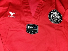 LOT of 2 Vision DXV Taekwondo Uniform Tops Size 2 True Martial Arts W/ Back Logo