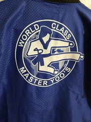 Adult VISION Taekwondo Gi Uniform Size 4/180, Blue – Master Yoo Patches, Korea