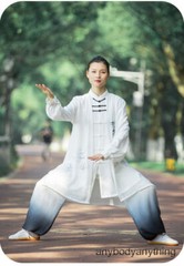 Kun Master Tai Chi Clothes Kung Fu Dress Martial Art Uniform Wushu Clothing
