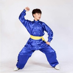 Silk Chinese Kung Fu Tai Chi Uniform Martial Arts Changquan Suit Outfit 7 Colors