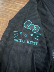 Hello Kitty X Moya Brand Gi Size A3 Limited Edition Shoyoroll Gis Sold Out