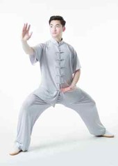 Summer Kung Fu Shirts Wing Chun Sport Tops Martial Arts Taichi Uniform Milk Silk