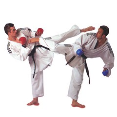 adidas Karate Kumite Master Gi with Stripes