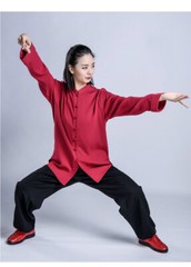 Summer Tai Chi Clothes Martial Arts Clothing Wushu Uniform Kung Fu Dress 5 Color