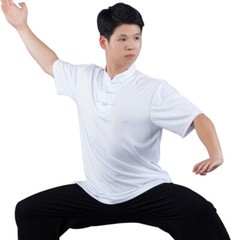 Silk Chinese Kung Fu Tai Chi Uniform T-Shirt Pants Outfit Martial Art Wushu Suit