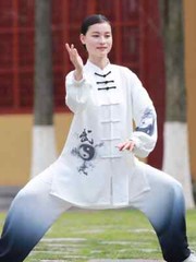 Kung Fu Shirts Wing Chun Sport Tops Martial Arts Taichi Uniform Gradient
