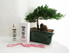 Black Belt Cologne (Men) or Perfume (Women) 3.4 oz EDP – 1 Bottle of Your Choice