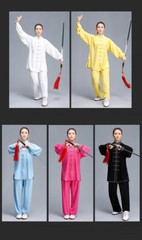 Tai Chi Clothes Wushu Clothing Kung Fu Dress Martial Art Uniform Spring and