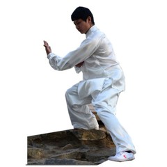 TaiChi Shaolin Monk Kung Fu Uniform Set Traditional Martial Arts Tang Suit Hanfu