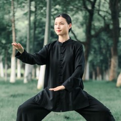 Kun Master Summer Kung Fu Dress Martial Art Uniform Tai Chi Clothes Wushu