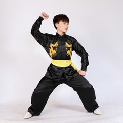 Silk Kung Fu Tai Chi Suit Uniform Martial Arts Changquan Uniform Outfit 5 Colors