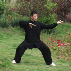 Soft Cotton Martial arts Wing Chun Clothes Tai chi Uniform Kung fu Suit Summer
