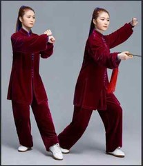 Winter Tai Chi Clothes Thick Kung Fu Dress Wushu Martial Art Uniform Long Sleeve