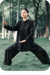 Kun Master Summer Kung Fu Dress Martial Art Uniform Tai Chi Clothes Wushu