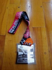 Brazilian Jiu Jitsu Silver Medal ASJJF West Japan Open BJJ Martial Arts