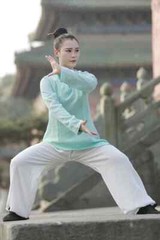 Tai Chi Clothing Practice Clothes Martial Arts Clothes Performance Clothes