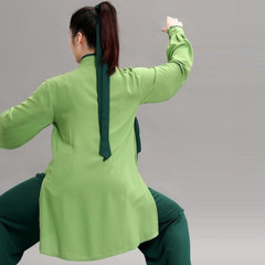 Chinese Costume Kung Fu Outfit Tai Chi Uniform Silk Linen Martail Arts Wushu