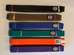 Karate / Judo belts (six), size 7, suit larger adult