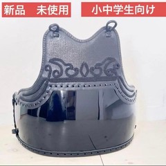 Japanese Kendo Do Chest Guard Armor Torso Red Base Kabuto Ornament Kids