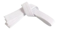 Martial Sports Lightweight White Karate Gi 8-oz Free Belt Free Shipping