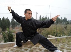 Kung Fu Tai Chi Uniform Martial Arts Suit Outfit Wushu Changquan Suit Clothes