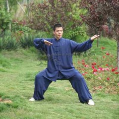 Tai chi Uniform Summer Cotton 6 Colors Wushu Kung fu Clothing Kids Adults