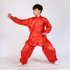 Silk Chinese Kung Fu Tai Chi Uniform Martial Arts Changquan Suit Outfit 7 Colors