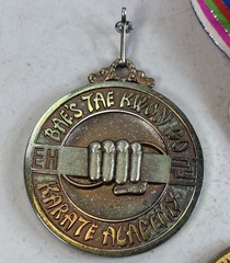 Tae Kwon Do Medal Lot Bae’s Karate Academy USA VA States Championship 80B13