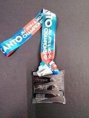 Brazilian Jiu-Jitsu Silver Medal SJJJF North Kanto Championship BJJ