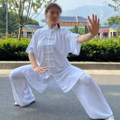 SUMMER Cotton Short-Sleeve Tai Chi Clothes Martial Arts Uniforms Kung Fu Suits