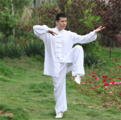 Soft Cotton Martial arts Wing Chun Clothes Tai chi Uniform Kung fu Suit Summer