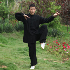 Soft Cotton Martial arts Wing Chun Clothes Tai chi Uniform Kung fu Suit Summer